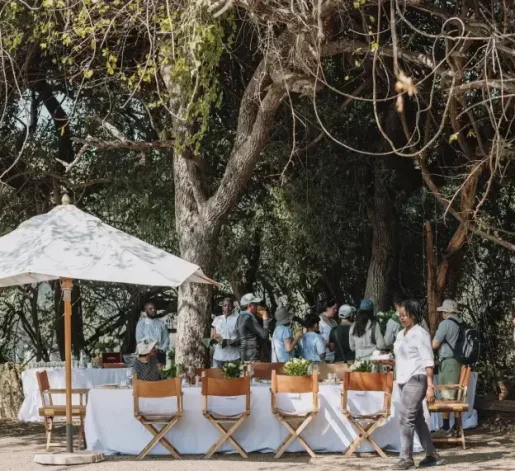 11c_PureAfrica_Rainforest Brunch min 10 pax