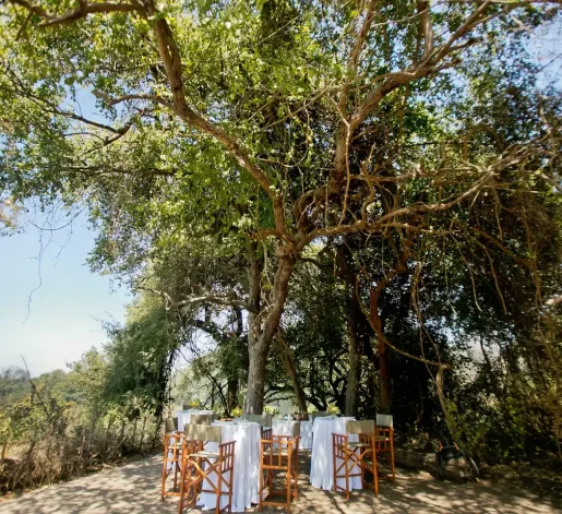 18_Pure Africa_Exclusive Experiences_Rainforest Cocktails location